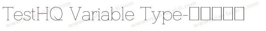 TestHQ Variable Type字体转换